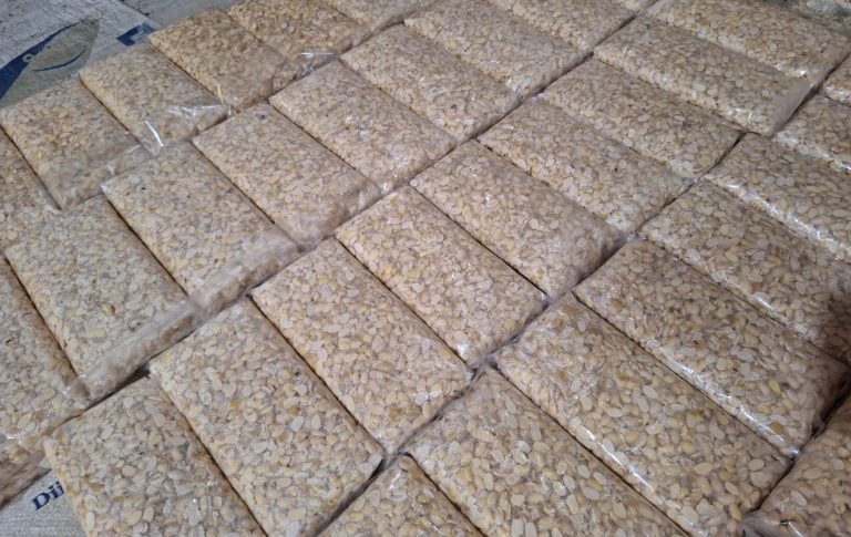 Peluang Usaha Tempe- jasalogocepat