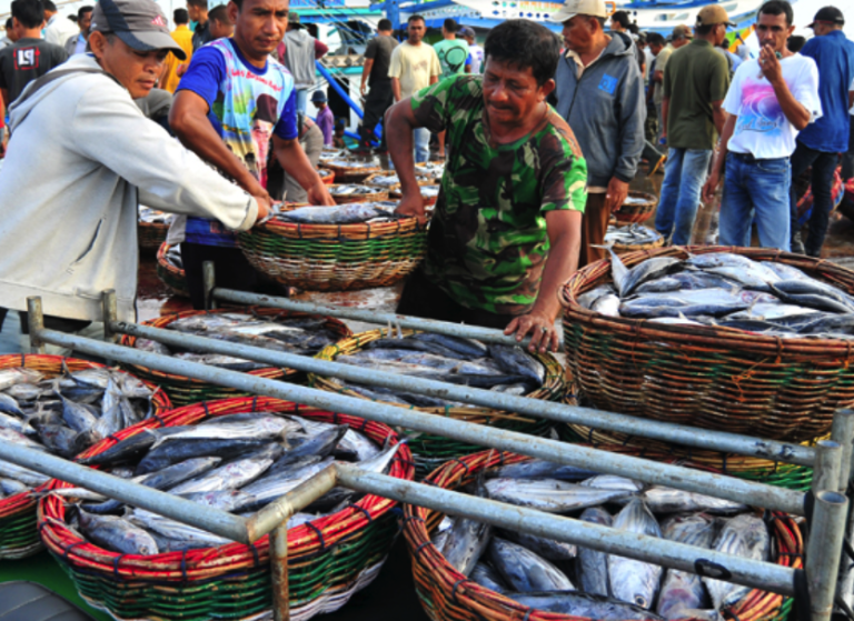 ide nama perusahaan ikan jasalogocepat